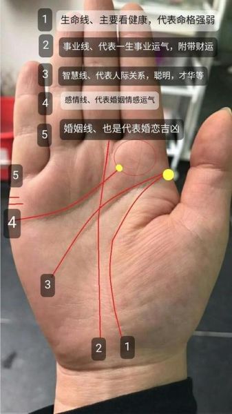 男人的手相(你的愛情運(yùn)勢嗎)
