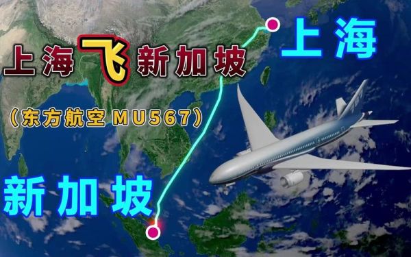 上海到新加坡旅游(上海飛新加坡哪個航空公司最好)