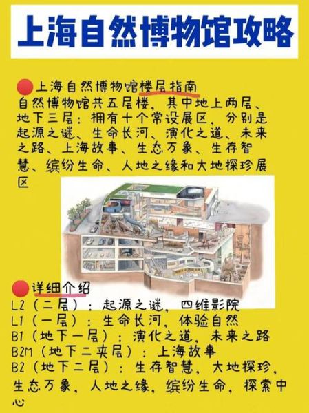 上海自然博物館攻略(有哪些必看展區)