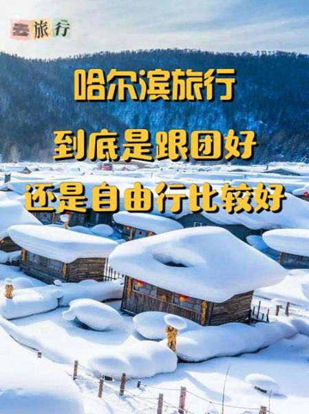 中國旅游團( 還是自由行更精彩)