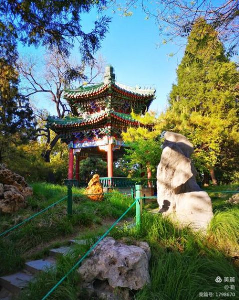 北京中山公園(現在還能看到嗎)
