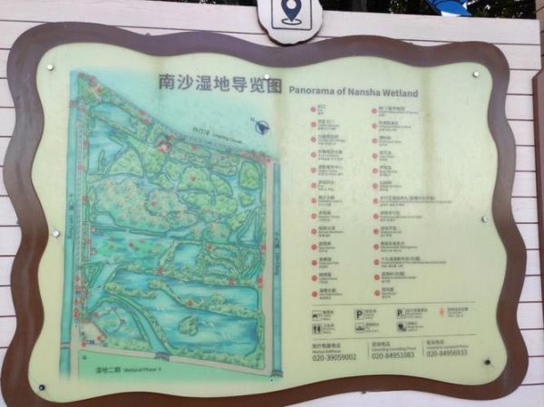南沙濕地(  怎么才能輕松抵達)