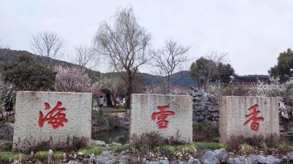 蘇州香雪海(有什么季節限定活動)