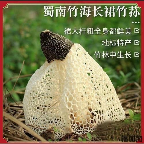 長寧蜀南竹海(哪些特產值得買回家)