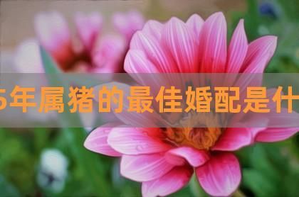 95年屬豬女的婚姻預測(她們的婚姻生活會充滿挑戰嗎)