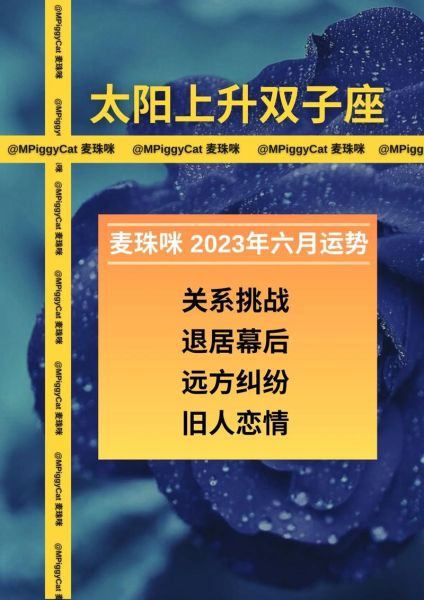 雙子座運勢2021年與整體運勢(整體運勢如何)
