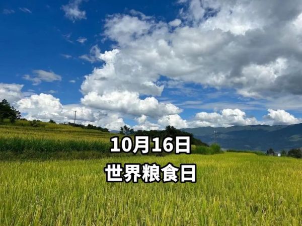 10月16日是什么節日(它和世界糧食日有什么聯系)