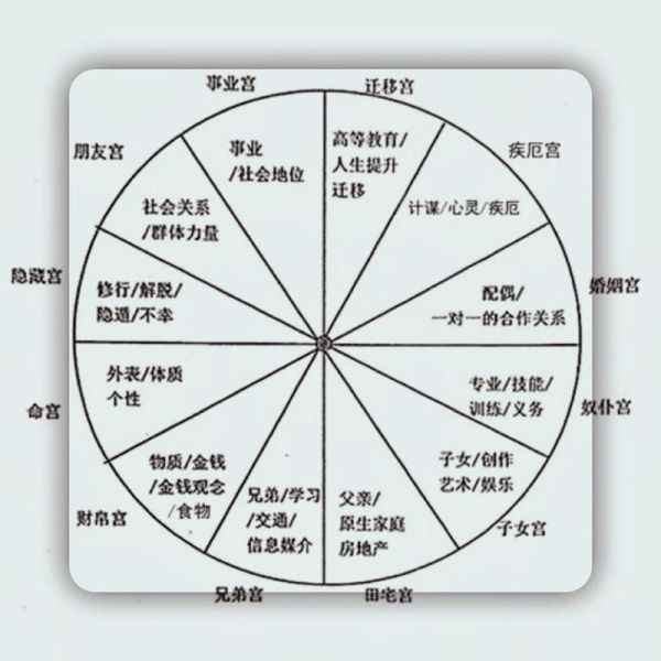 命宮星座分析(你的事業會成功嗎)