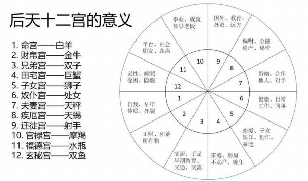 命宮星座分析(你的事業會成功嗎)
