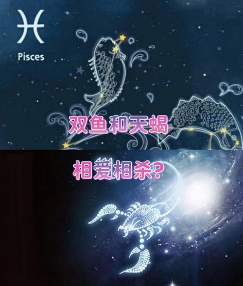 雙魚(yú)座男和天蝎座女(誰(shuí)更需要愛(ài)情)