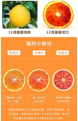 塔羅科血橙簡介( 你知道它有哪些品種嗎)