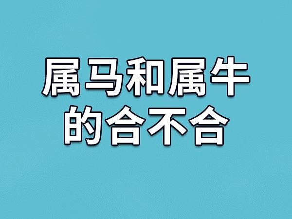 屬馬和屬牛(誰更適合做鄰居)