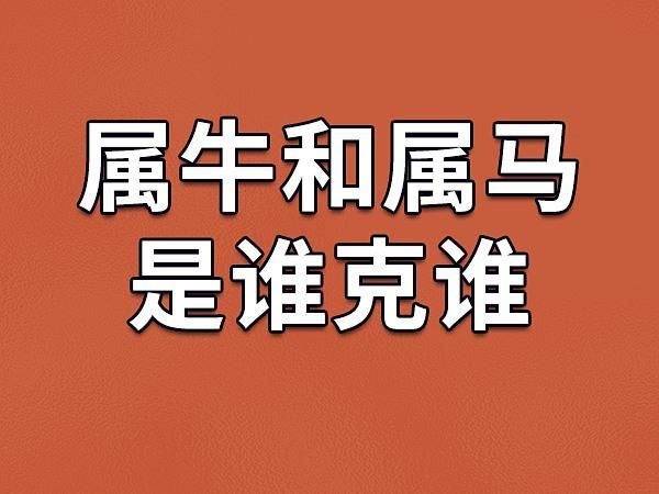 屬馬和屬牛(誰更適合做鄰居)