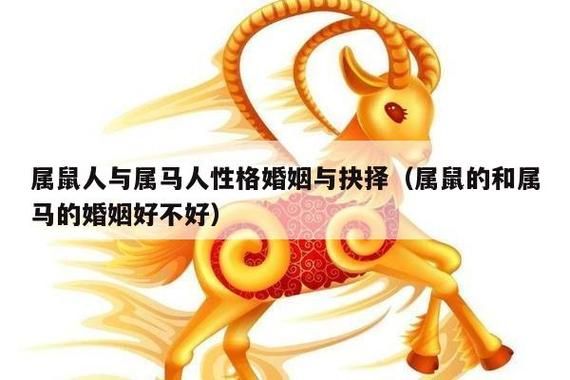屬馬配偶(你的愛情能經受住考驗嗎)