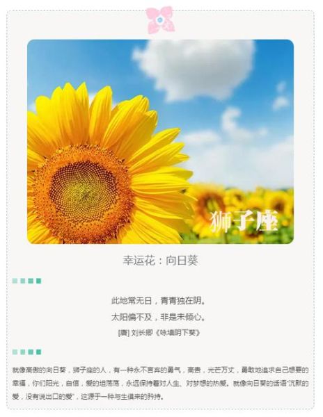 星座幸運花(它能幫助你心想事成嗎)
