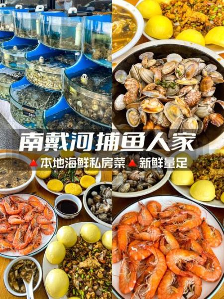 南戴河旅游度假區(吃什么最鮮美)