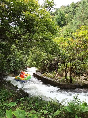 新興天露山旅游度假區(適合帶孩子去嗎)