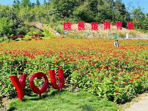 綠蔥坡旅游度假區(還能享受到哪些樂趣)
