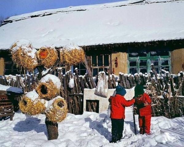 東北農村生活(究竟是詩情畫意還是柴米油鹽)