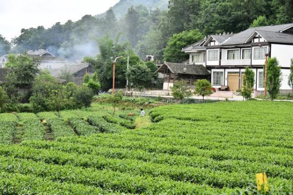 鄉村的生活( 你會選擇怎樣的生活方式)