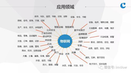 互聯網在生活中的應用(你真的了解互聯網嗎)