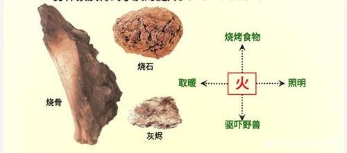 北京人的生產(chǎn)生活(他們會用火嗎)