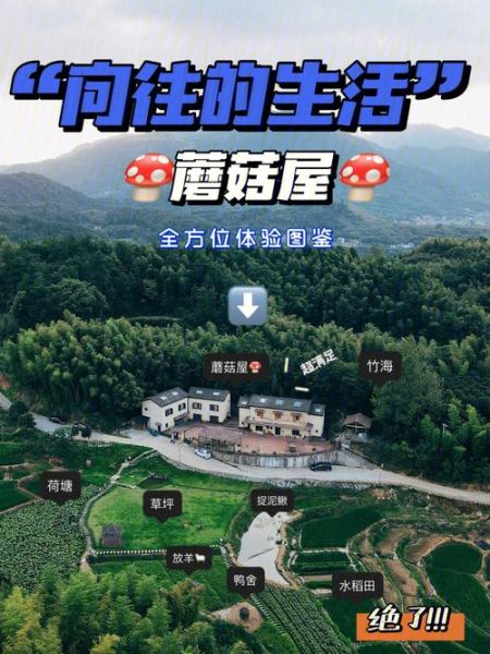 向往的生活第三季第一期(蘑菇屋會發生哪些故事)