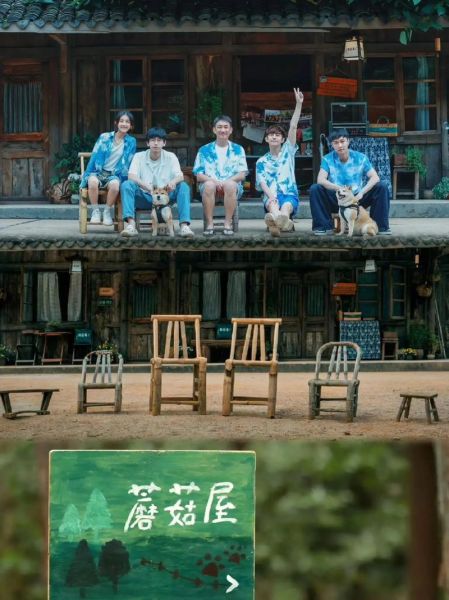 向往的生活第三季第一期(蘑菇屋會發生哪些故事)