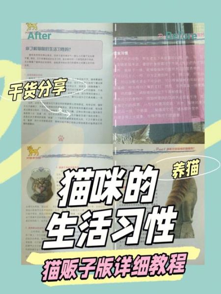 貓的生活習慣( 它們真的不喜歡和人親近嗎)