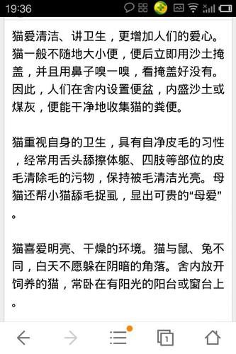貓的生活習慣( 它們真的不喜歡和人親近嗎)