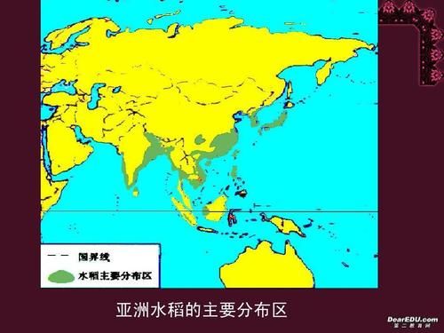 生活中的地理現象(  為什么有些地方更適合種水稻)