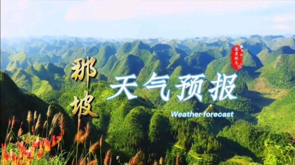 那坡天氣預報15天查詢(我需要提前準備嗎)