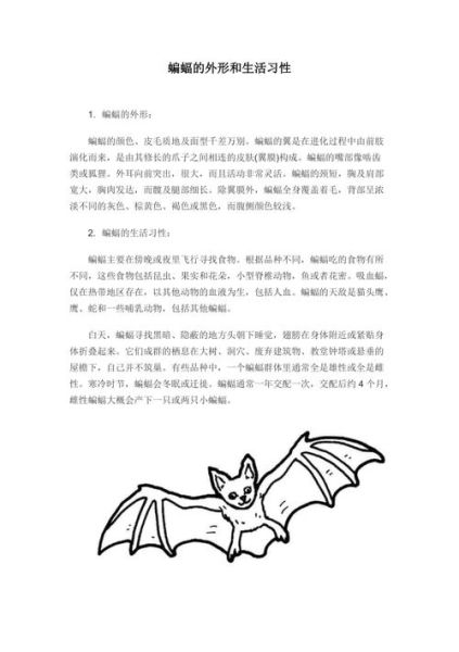 蝙蝠的生活習性(它們是怎么做到的)